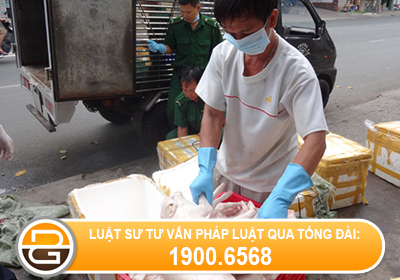 Co-phai-xin-cap-giay-chung-nhan-kiem-dich-khi-van-chuyen-dong-vat-san-pham-dong-vat-song-tren-can-trong-dia-ban-tinh