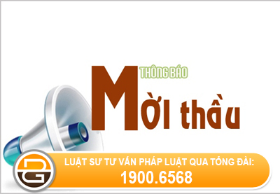 Dau-thau-mua-sam-giong-Khoai-tay-Solara-tai-Hung-Yen