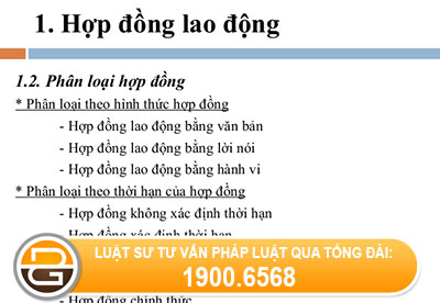 Xac-dinh-loai-hop-dong-lao-dong-nghia-vu-dong-bao-hiem-xa-hoi