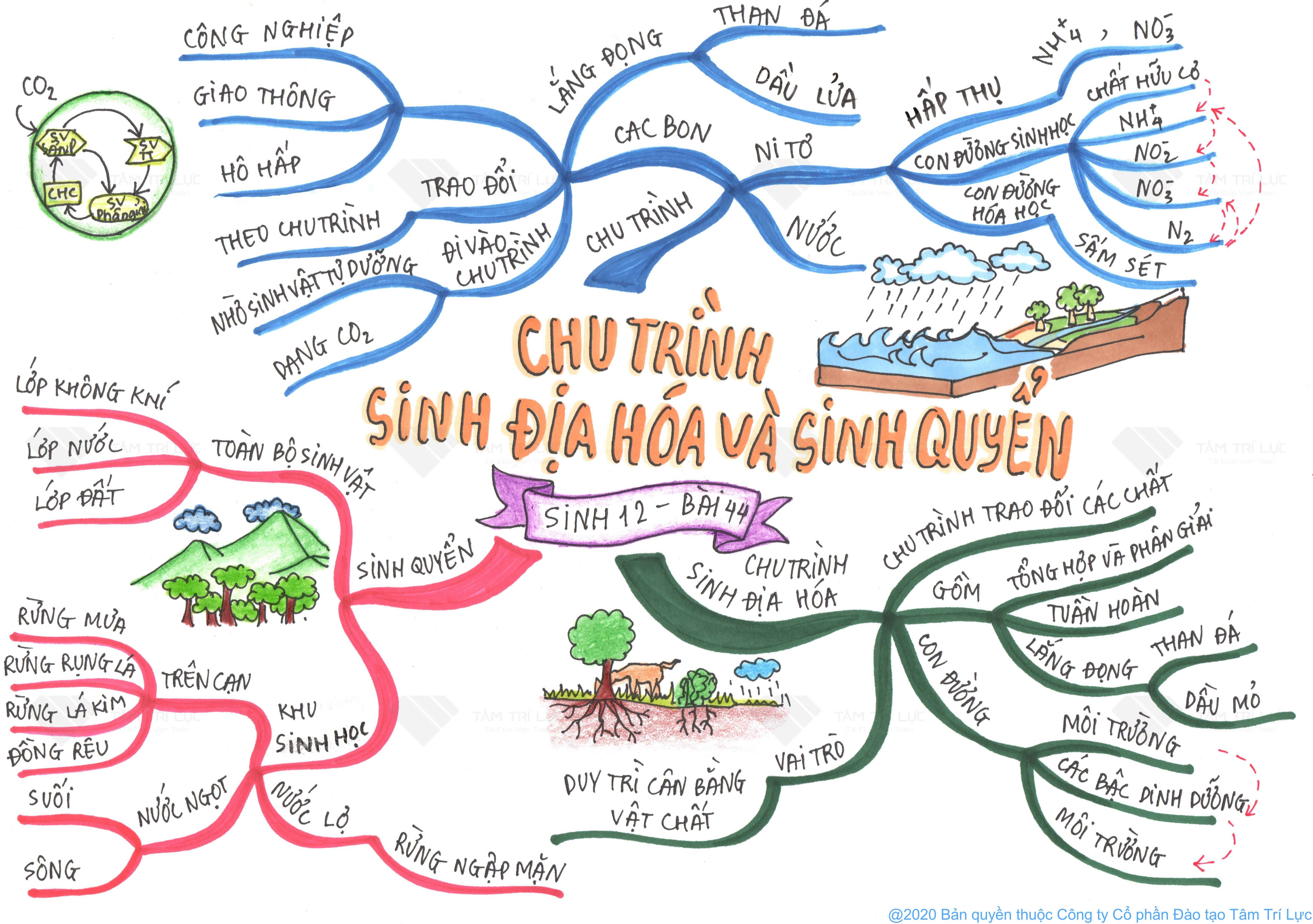 ảnh chủ đề