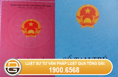 khong-o-tai-noi-thuong-tru-co-duoc-cho-con-nhap-khau-khong-