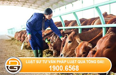 quyet-dinh-50-2016-QD-TTg-ngay-04-thang-09-nam-2014