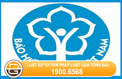 tu-y-nghi-viec-gan-2-nam-co-lay-lai-duoc-so-bao-hiem-xa-hoi-khong