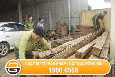 vo-biet-chong-thuc-hien-hanh-vi-van-chuyen-go-trai-phep-co-bi-xu-phat-khong