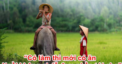 ảnh chủ đề