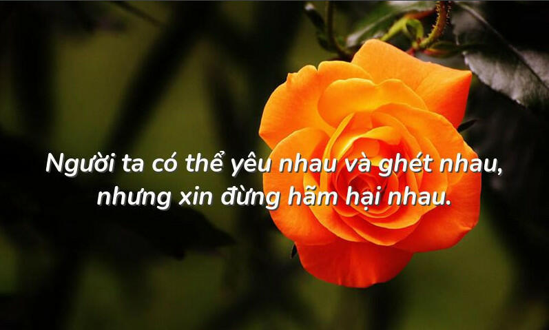 ảnh chủ đề