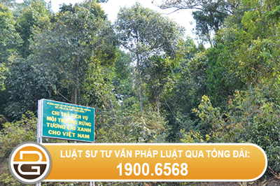 Nghi-dinh-135-2005-nd-cp-ngay-08-thang-11-nam-2005