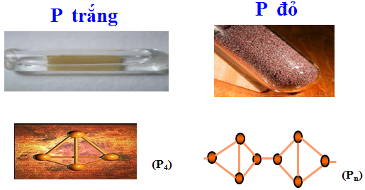 ảnh chủ đề