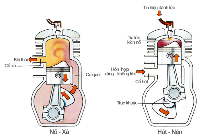 ảnh chủ đề