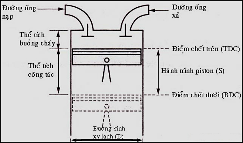 ảnh chủ đề