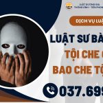 Luật sư bào chữa tội che giấu, không tố giác tội phạm