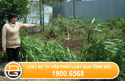 Chung-minh-quyen-su-dung-dat-khi-tranh-chap-phat-sinh