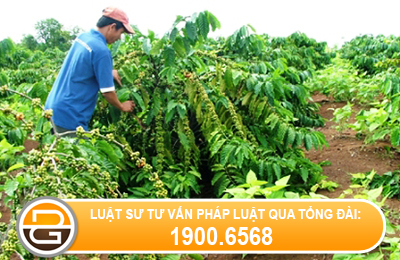 boi-thuong-khi-gay-thiet-hai-tai-san-cho-nguoi-khac