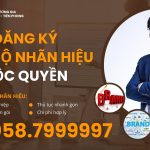 Dịch vụ đăng ký nhãn hiệu, bảo hộ nhãn hiệu độc quyền