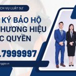Dịch vụ đăng ký thương hiệu, bảo hộ logo thương hiệu