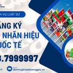 Dịch vụ đăng ký bảo hộ nhãn hiệu quốc tế uy tín trọn gói