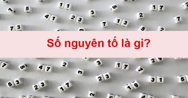 ảnh chủ đề