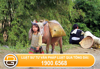 Co-quan-nao-giao-quyet-che-do-cho-vien-chuc-cong-tac-tai-vung-kho-khan