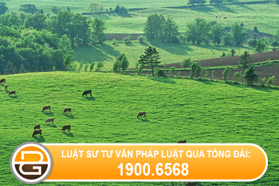Giai-quyet-tranh-chap-quyen-su-dung-dat-giua-cac-bat-dong-san-lien-ke