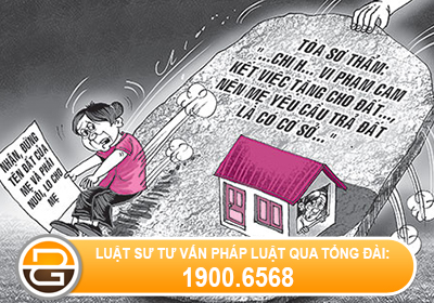cha-me-da-tang-cho-dat-thi-co-quyen-duoc-doi-lai-hay-khong-