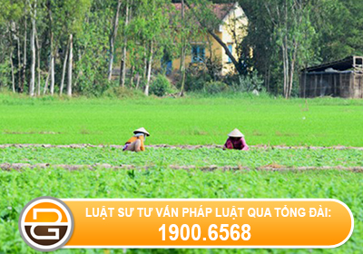 co-duoc-chuyen-nhuong-dat-khi-khong-co-giay-chung-nhan-quyen-su-dung-dat