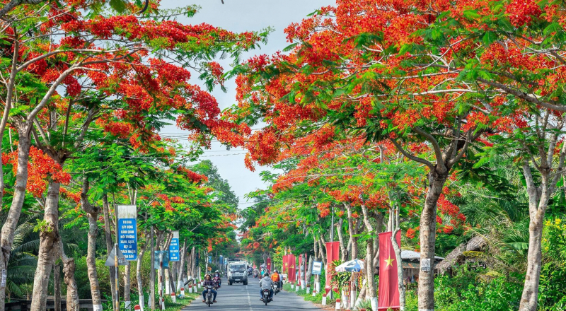 ảnh chủ đề