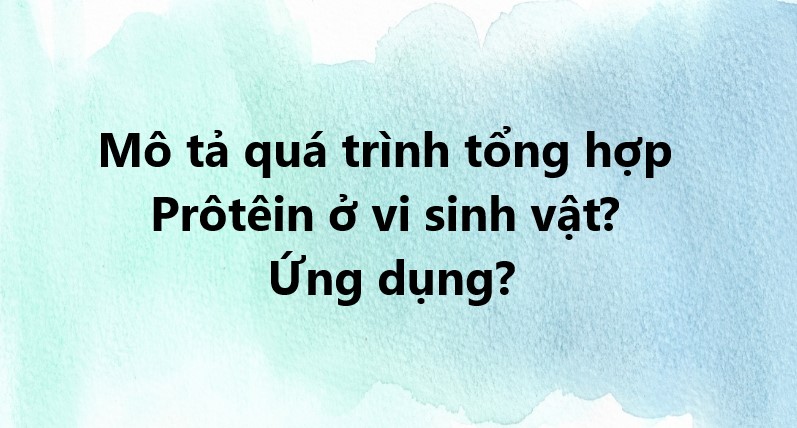 ảnh chủ đề