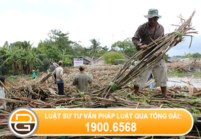 quyet-dinh-2344-qd-ttg-ngay-02-thang-12-nam-2013