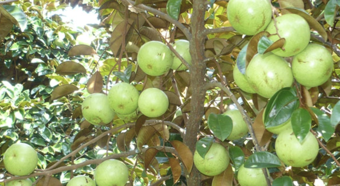 ảnh chủ đề