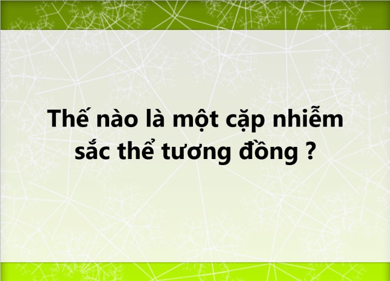 ảnh chủ đề