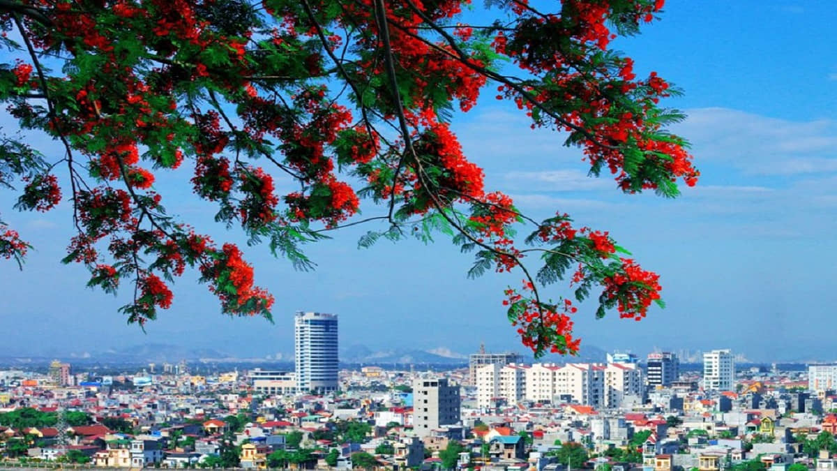 ảnh chủ đề