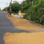 Tội cản trở giao thông đường bộ theo Điều 261 BLHS 2015