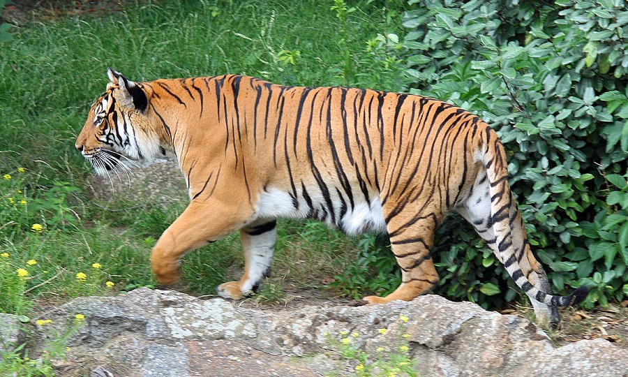 ảnh chủ đề