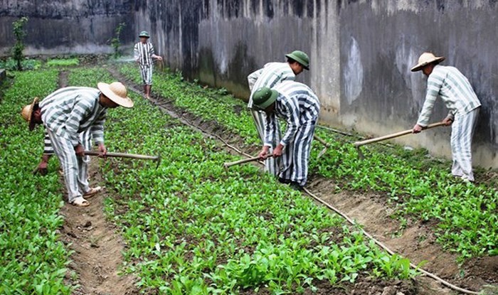 ảnh chủ đề