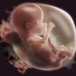 Tội phá thai trái phép theo Điều 316 Bộ luật hình sự 2015