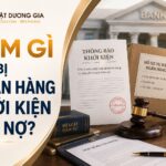 Bị ngân hàng khởi kiện đòi nợ thì phải làm thế nào?