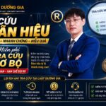 Dịch vụ gia hạn hiệu lực văn bằng bảo hộ sở hữu trí tuệ