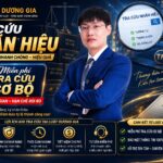 Dịch vụ tra cứu nhãn hiệu, tra cứu đăng ký thương hiệu