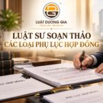 Dịch vụ Luật sư soạn thảo các loại phụ lục hợp đồng