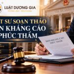 Dịch vụ Luật sư soạn thảo đơn kháng cáo phúc thẩm