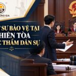 Luật sư bảo vệ quyền lợi tại phiên tòa phúc thẩm dân sự