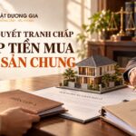 Luật sư giải quyết tranh chấp góp tiền mua tài sản chung