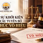 Luật sư yêu cầu tuyên bố di chúc không có hiệu lực